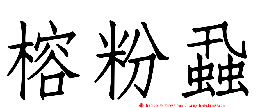 榕粉蝨