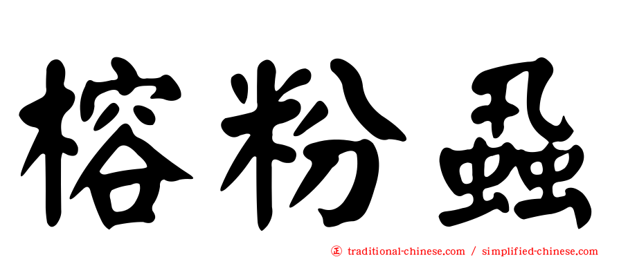 榕粉蝨