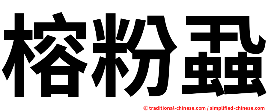 榕粉蝨
