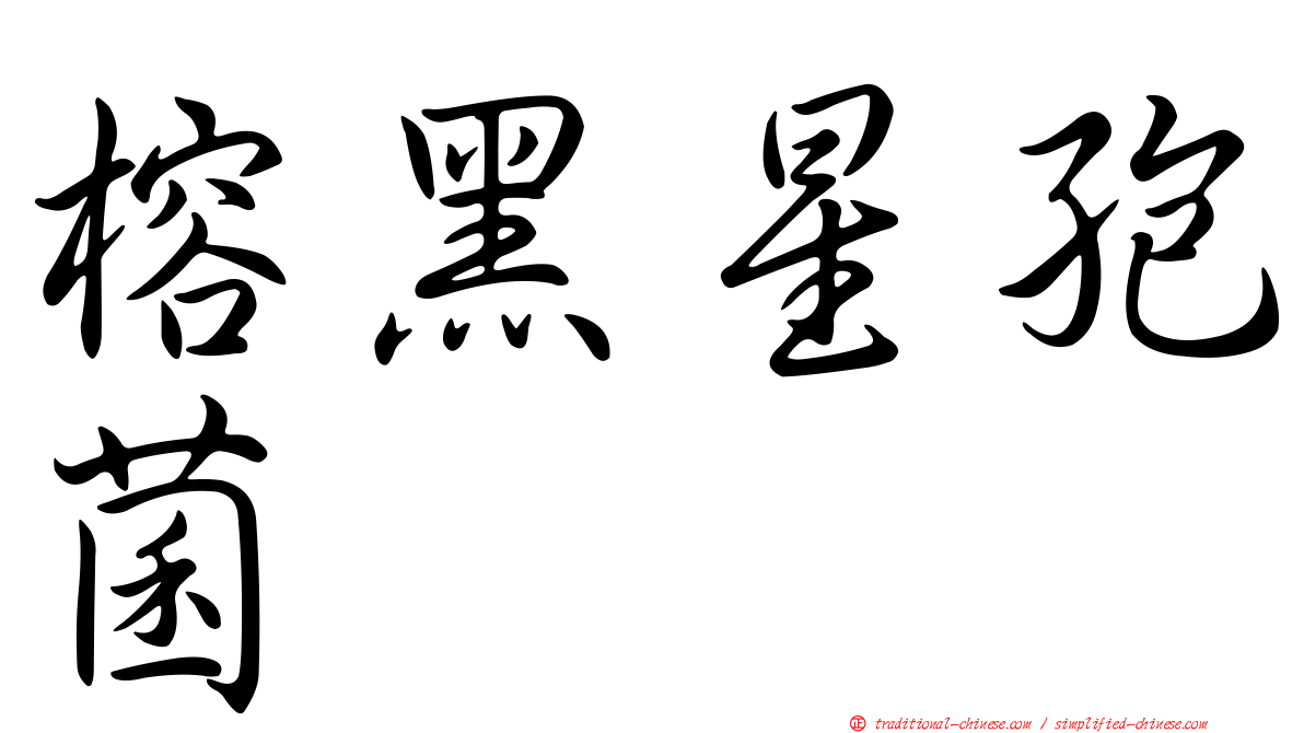榕黑星孢菌