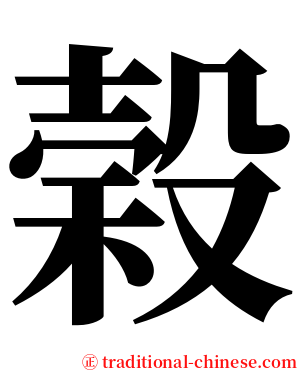 榖 serif font
