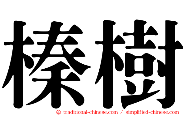 榛樹