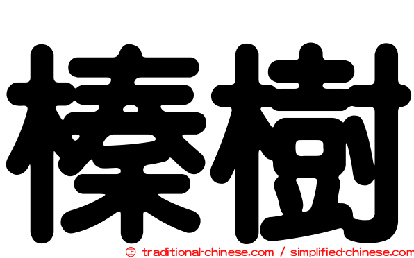 榛樹