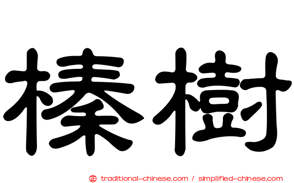 榛樹
