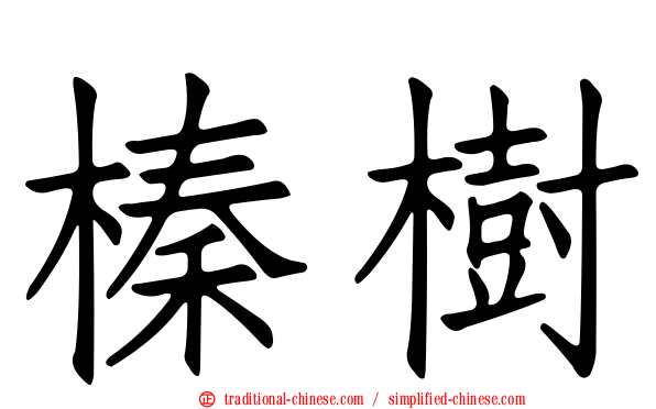 榛樹