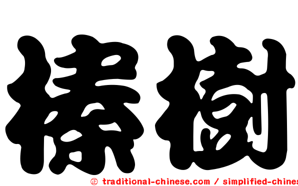 榛樹