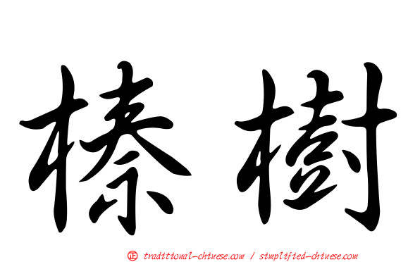 榛樹