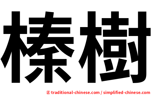 榛樹