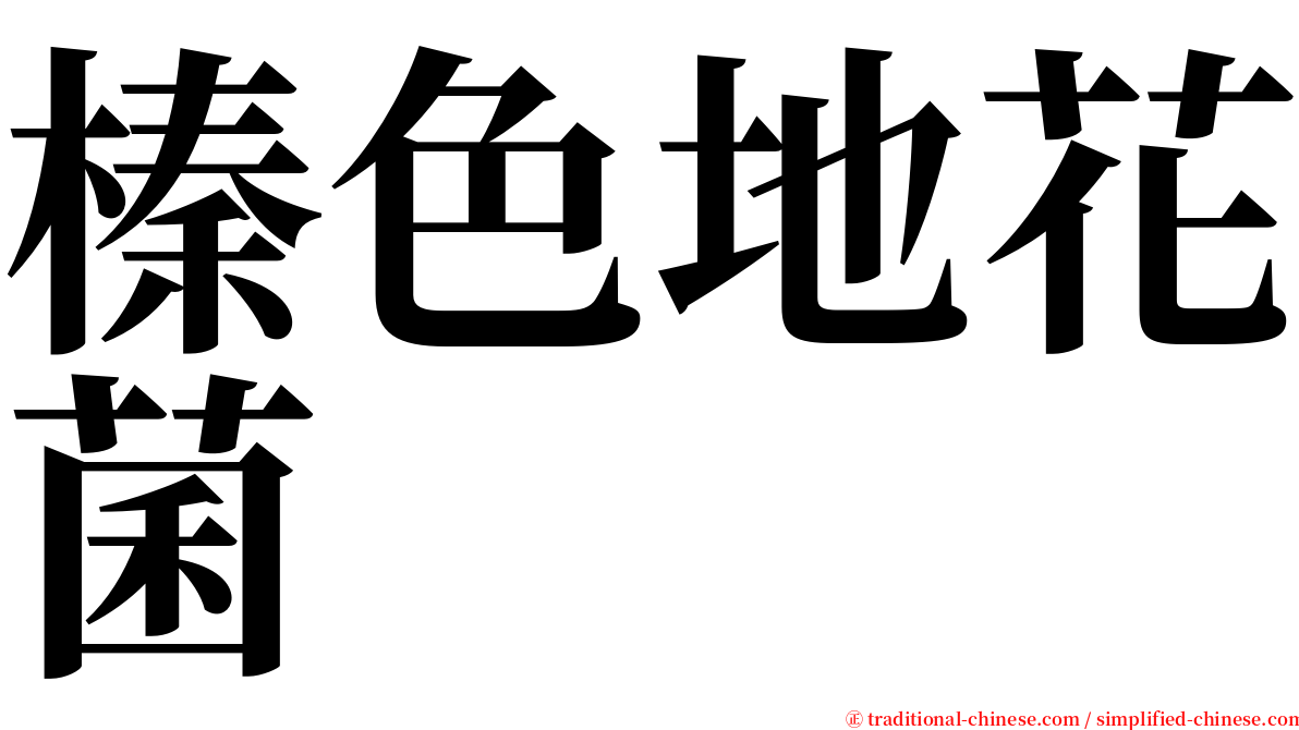 榛色地花菌 serif font
