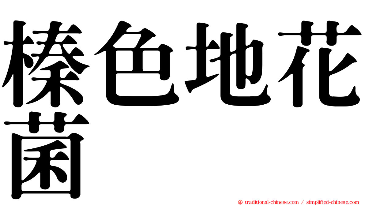 榛色地花菌