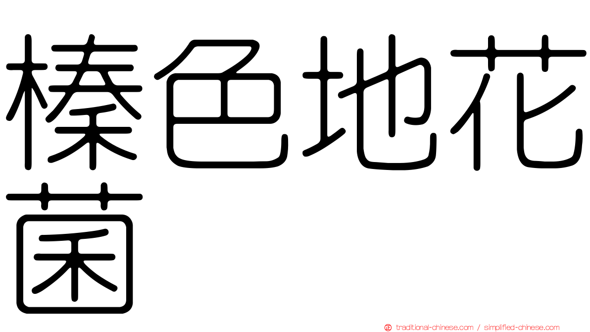榛色地花菌