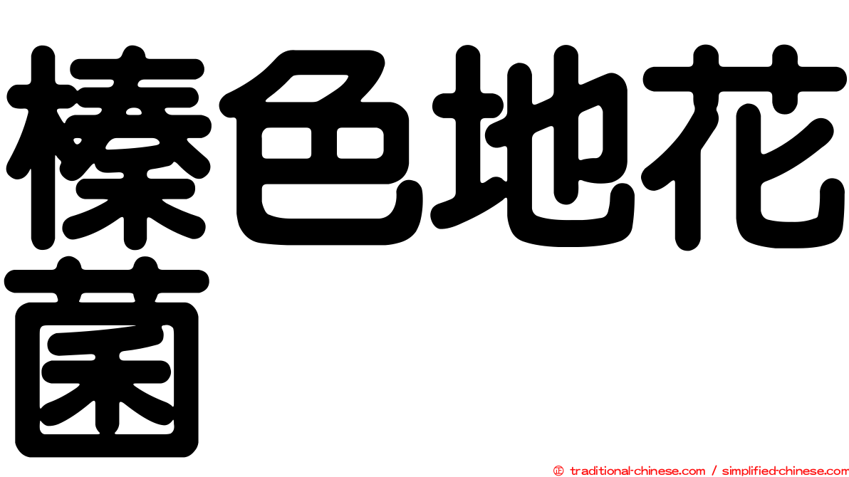 榛色地花菌