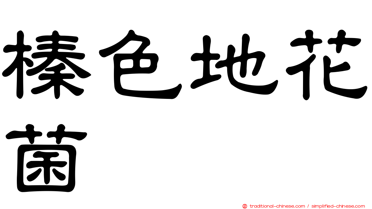 榛色地花菌