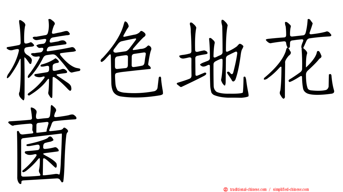 榛色地花菌