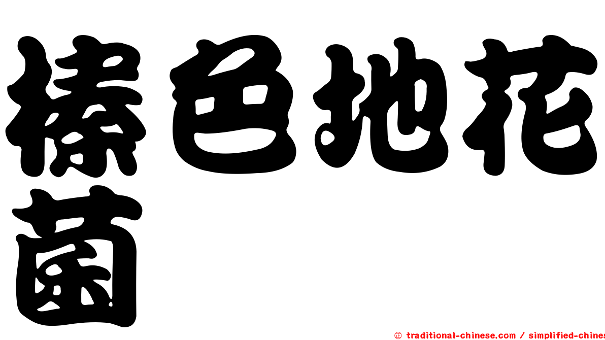 榛色地花菌