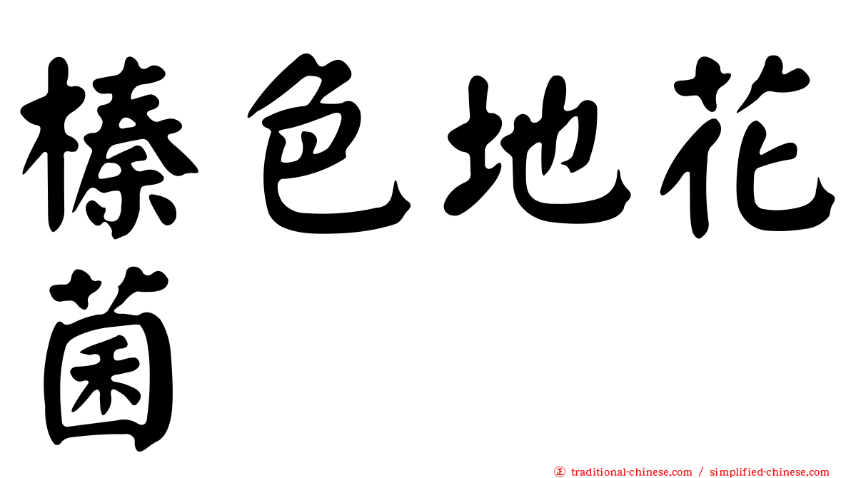 榛色地花菌