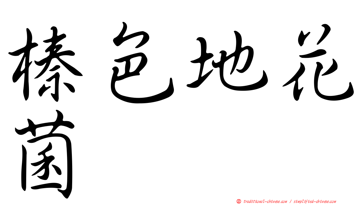 榛色地花菌