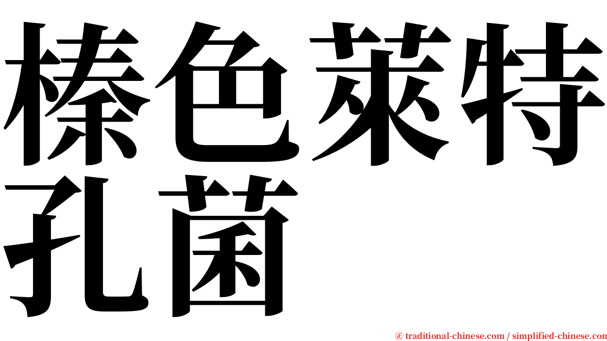榛色萊特孔菌 serif font
