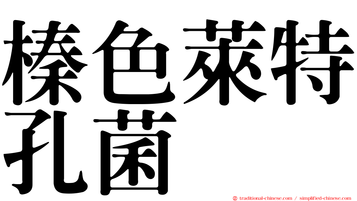 榛色萊特孔菌