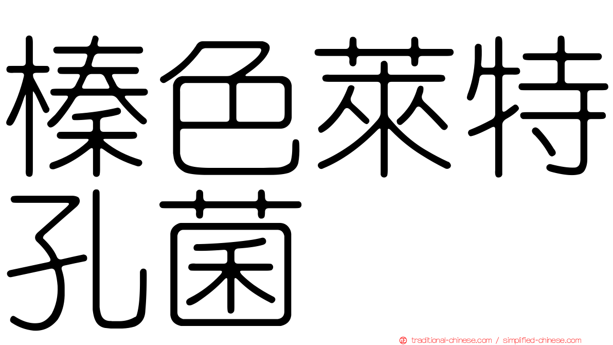 榛色萊特孔菌