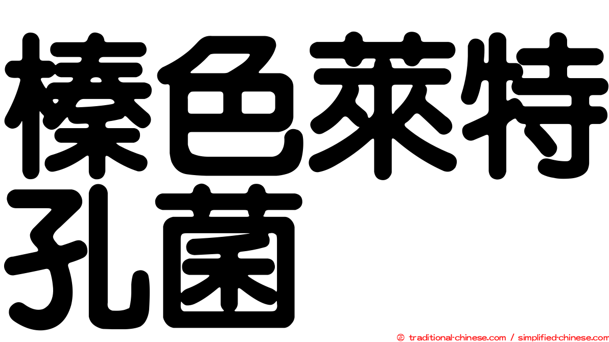 榛色萊特孔菌