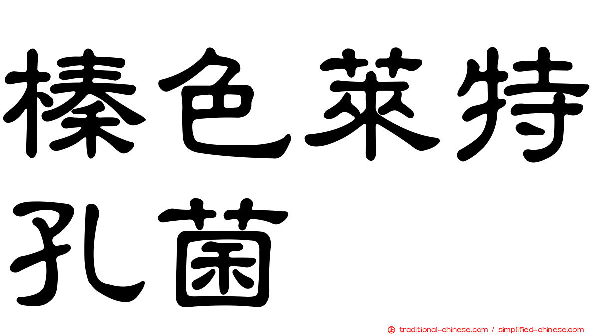 榛色萊特孔菌