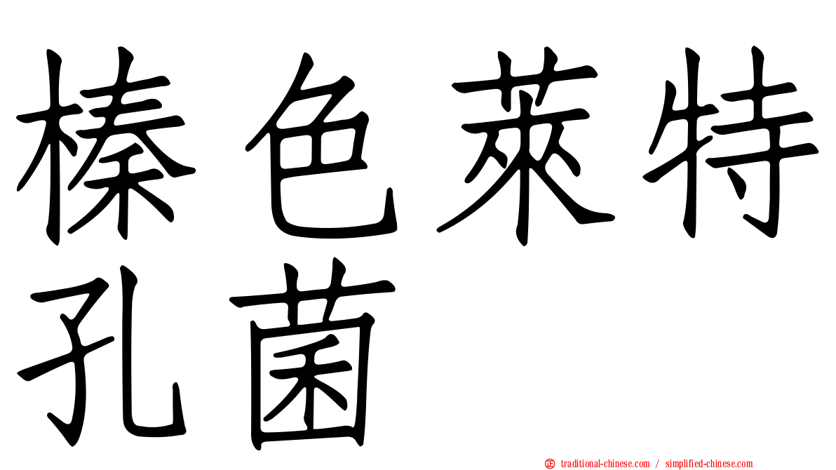 榛色萊特孔菌