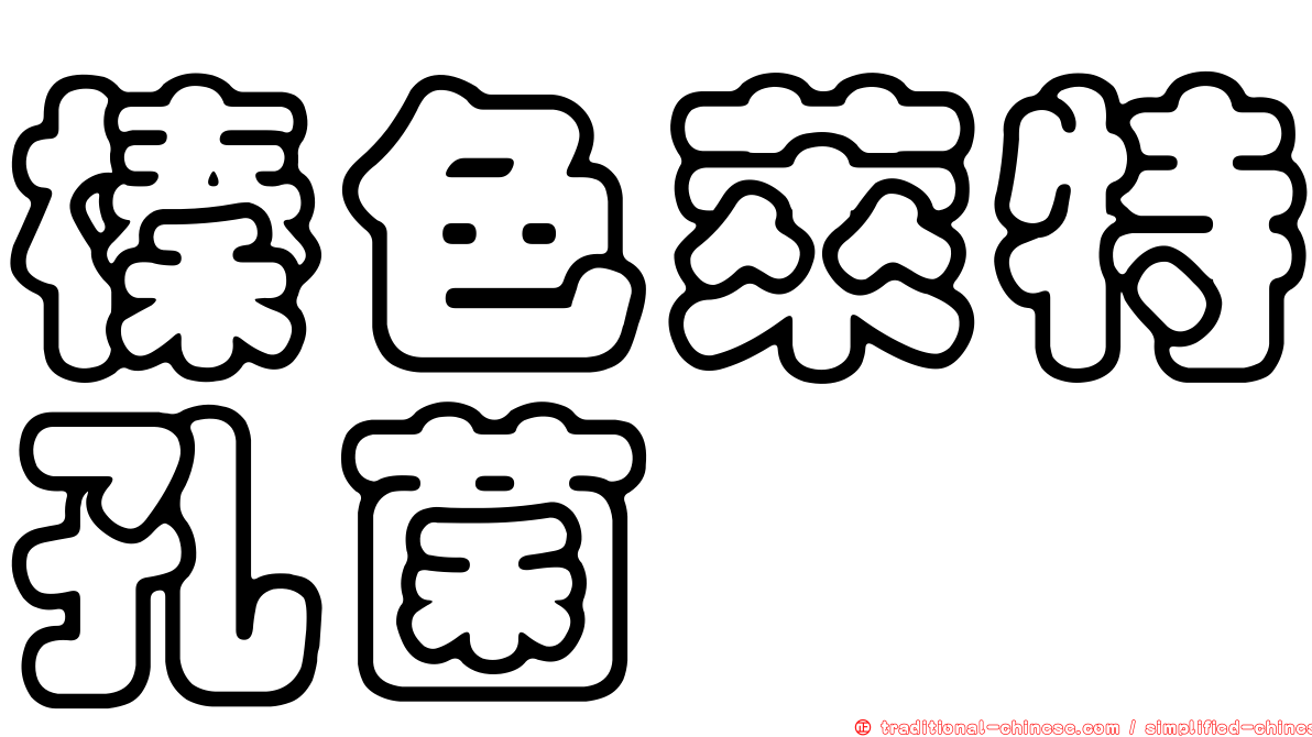 榛色萊特孔菌
