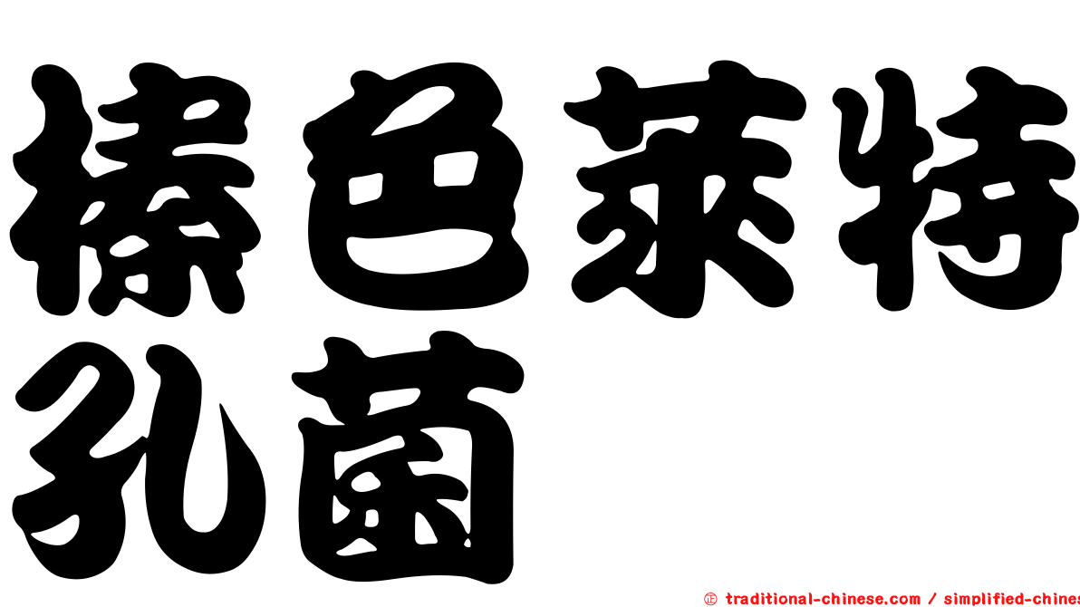 榛色萊特孔菌