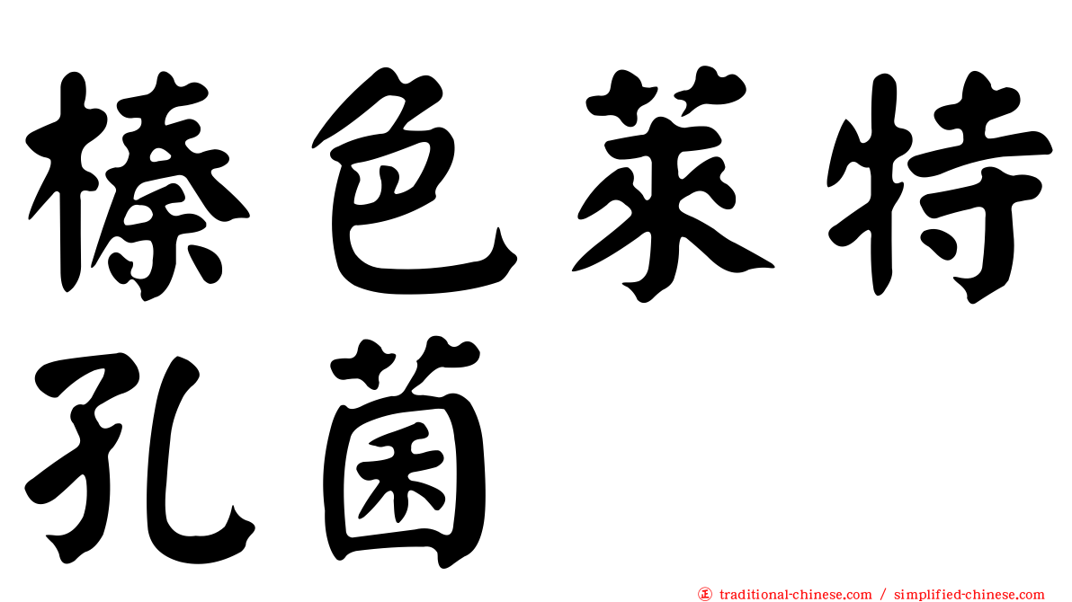榛色萊特孔菌
