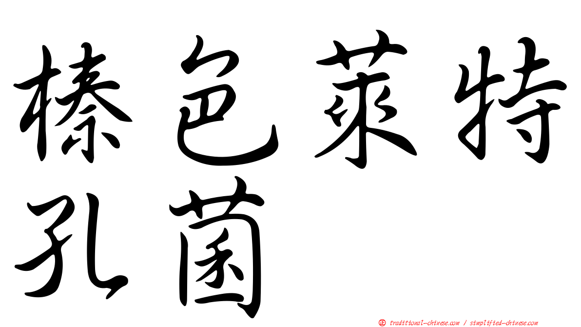 榛色萊特孔菌