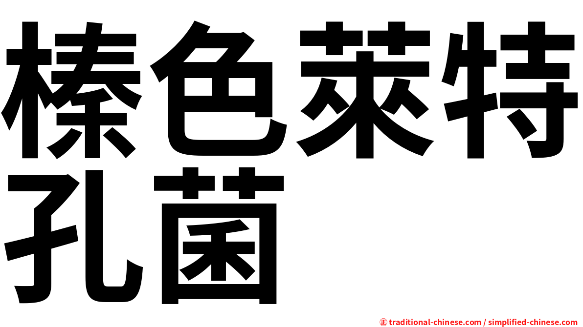 榛色萊特孔菌