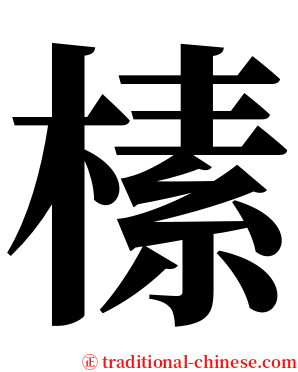 榡 serif font