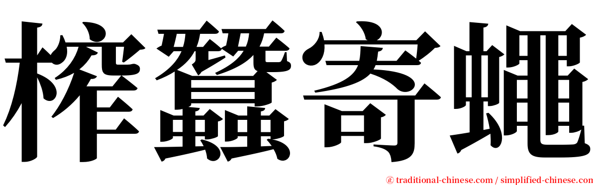 榨蠶寄蠅 serif font