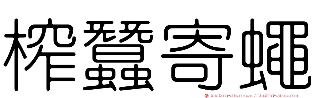榨蠶寄蠅