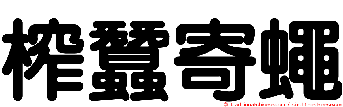 榨蠶寄蠅