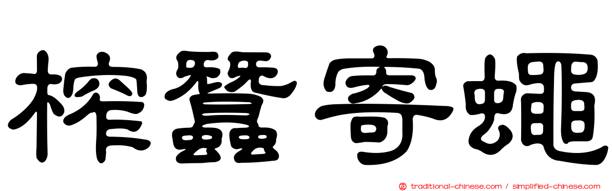 榨蠶寄蠅
