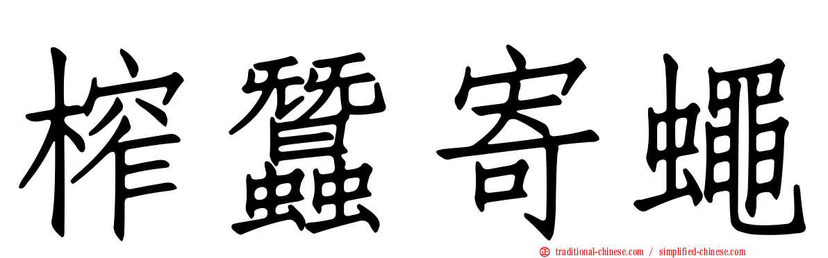 榨蠶寄蠅