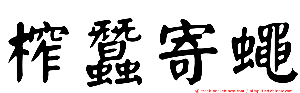 榨蠶寄蠅
