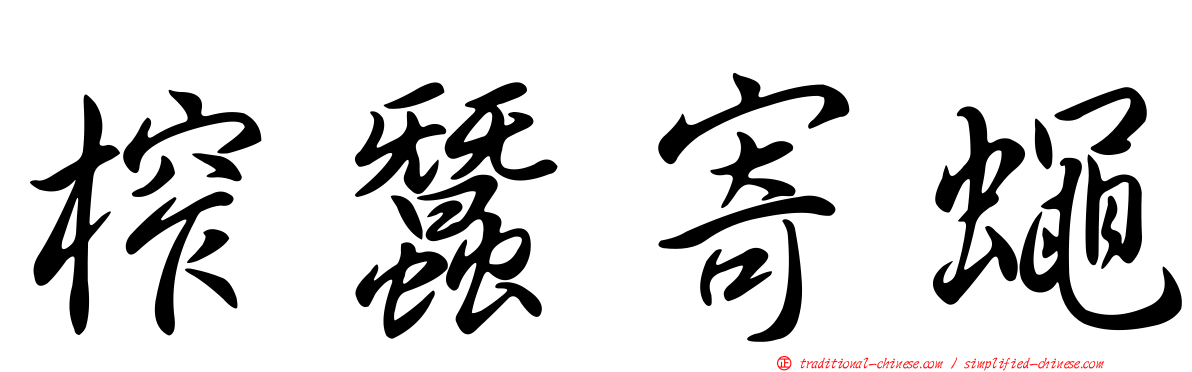 榨蠶寄蠅