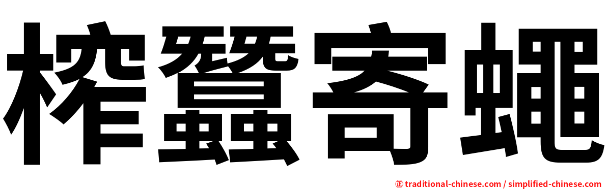 榨蠶寄蠅