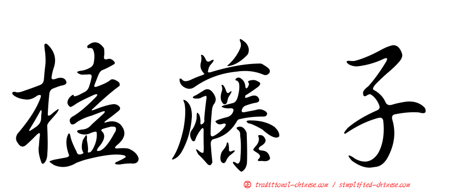 榼藤子