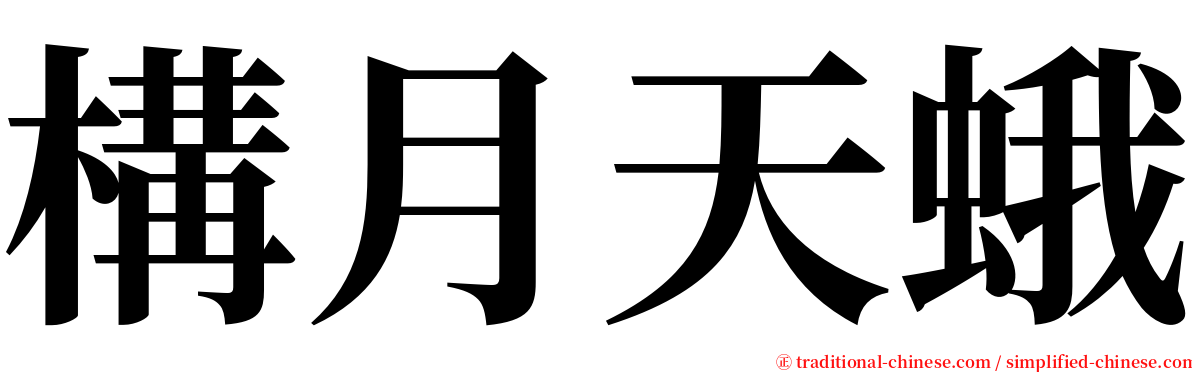構月天蛾 serif font