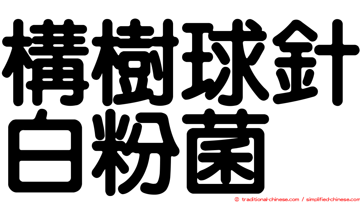 構樹球針白粉菌