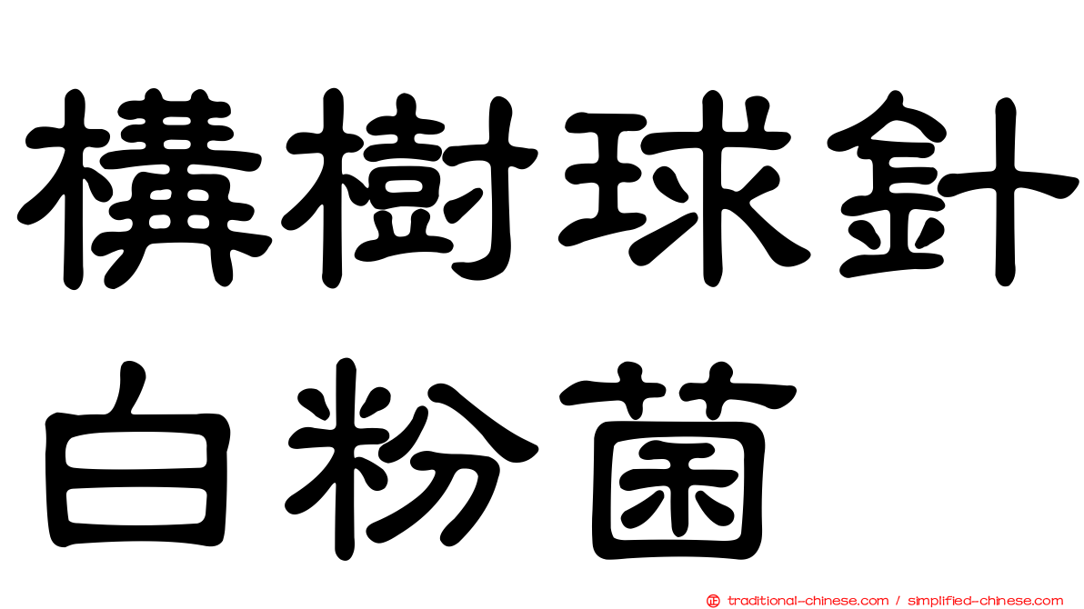 構樹球針白粉菌