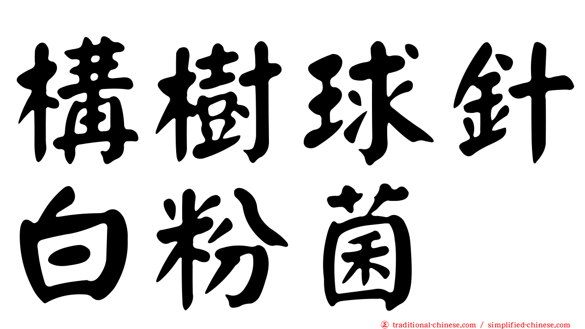 構樹球針白粉菌