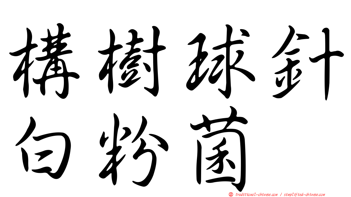 構樹球針白粉菌