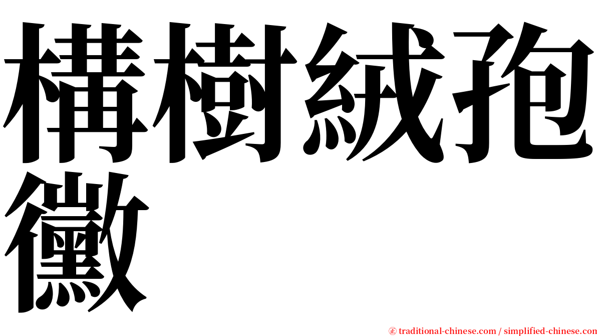 構樹絨孢黴 serif font