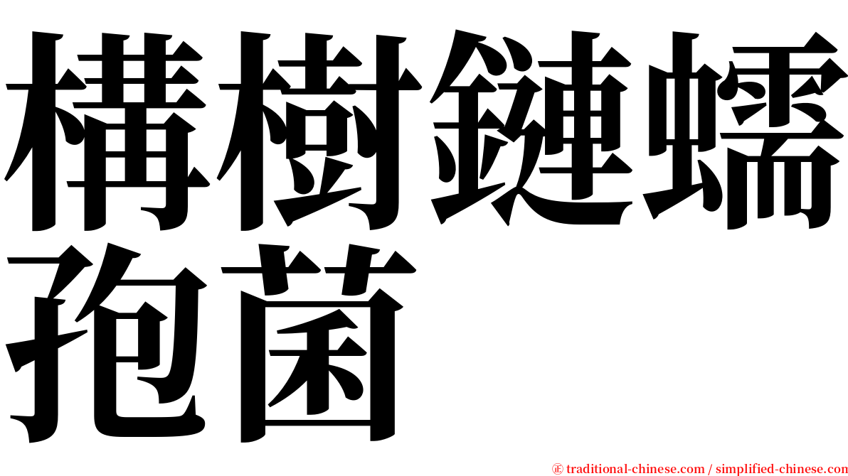 構樹鏈蠕孢菌 serif font