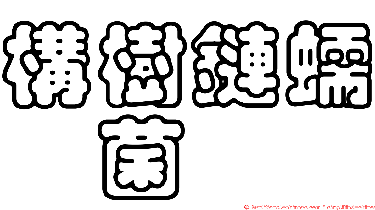 構樹鏈蠕孢菌